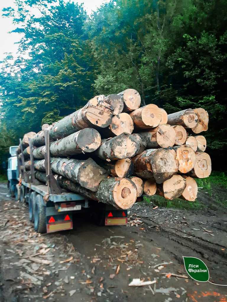 “Співробітник однієї з філій ДП “Ліси України” попередив щодо спроби керівника незаконно вивезти деревину”, – генеральний директор Юрій Болоховець