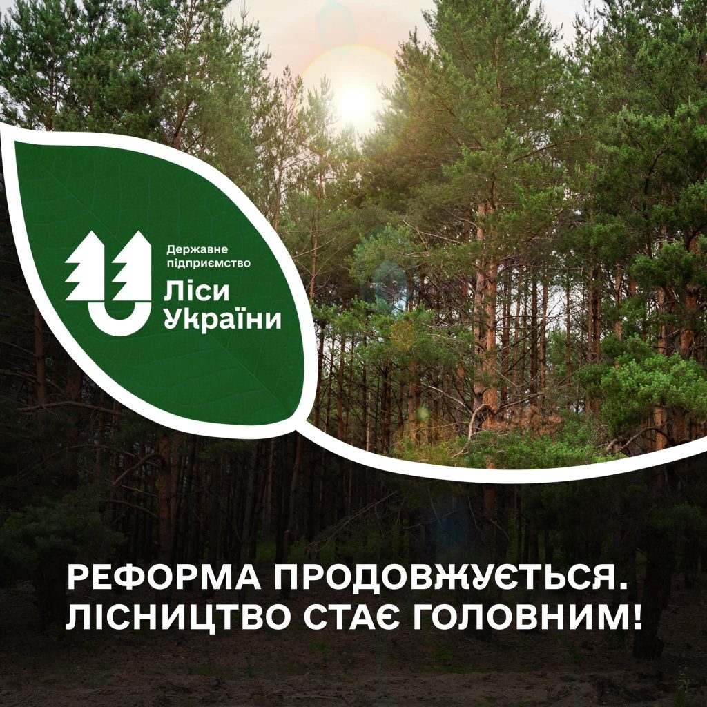 Реформа продовжується: лісництво стає головним