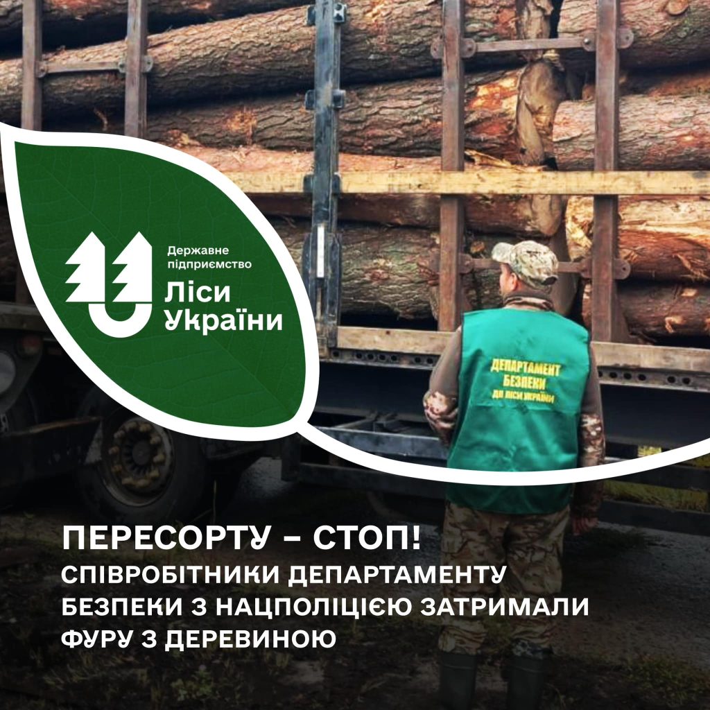 Пересорту – стоп!