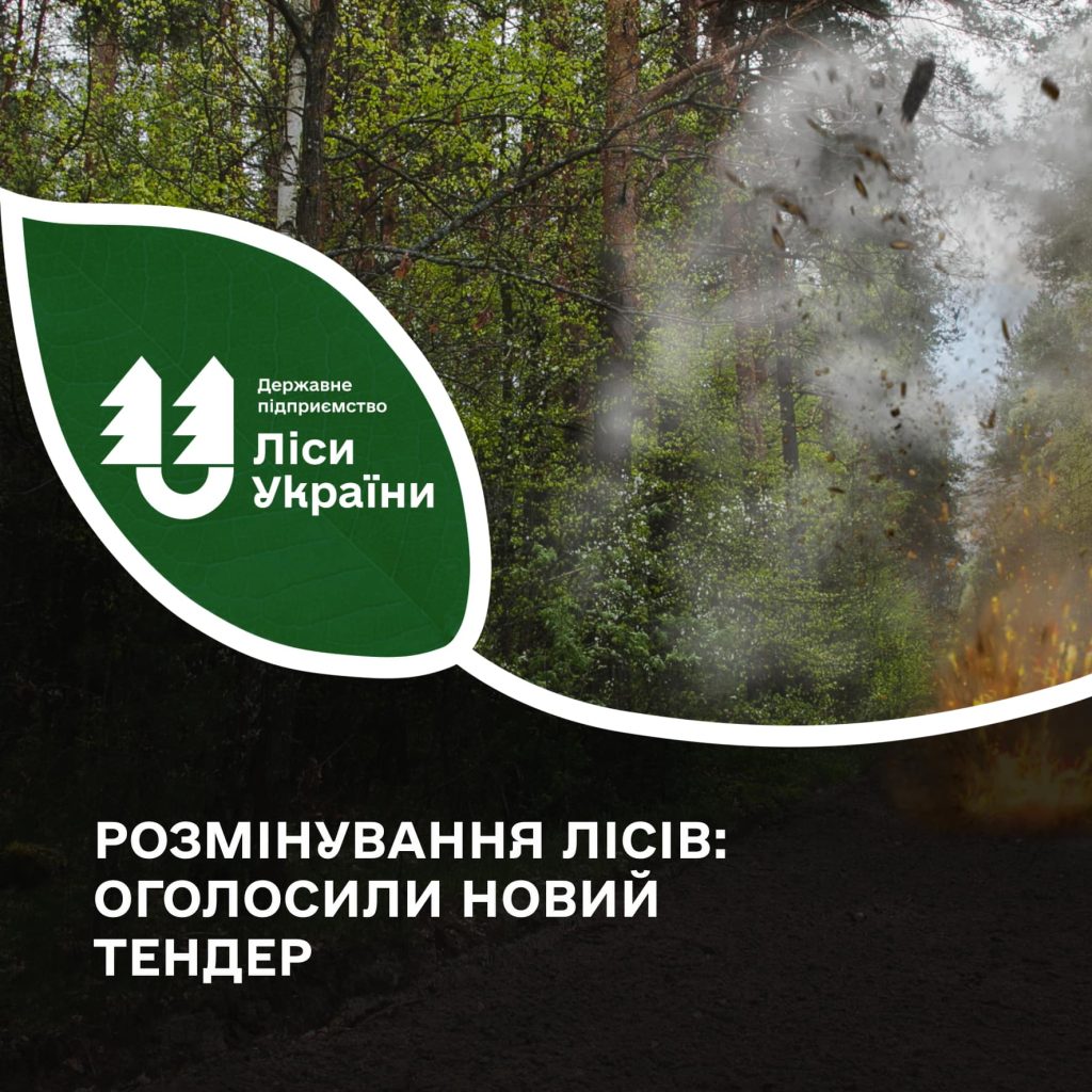 Розмінування лісів: оголосили новий тендер