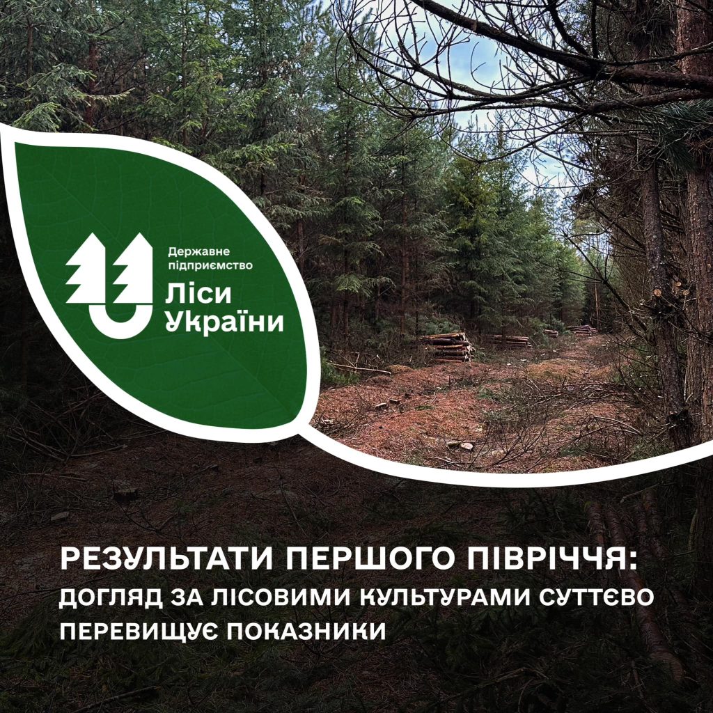 Результати першого півріччя: догляд за лісовими культурами суттєво перевищує показники