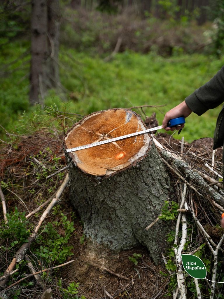 “Майже 51 тисяча пнів! Понад 367 млн грн завданих державі збитків!  Це попередні результати інвентаризації лісу на Рівненщині, який кілька місяців тому передали ДП “Ліси України””, – повідомив генеральний директор Юрій Болоховець.
