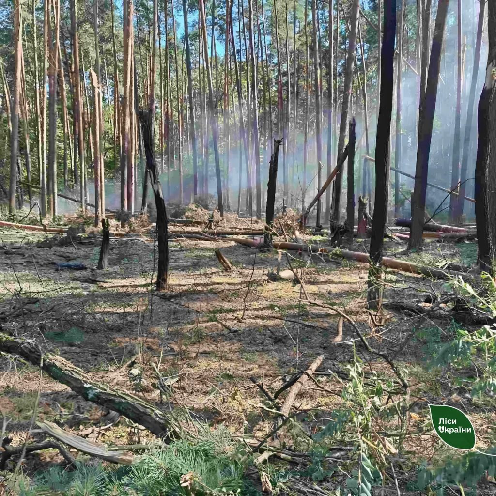 5 з 7 великих пожеж все повністю ліквідовано!