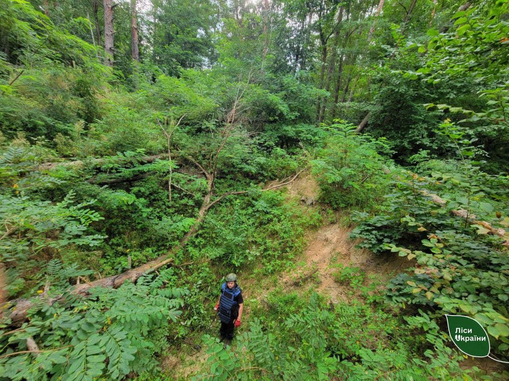 “З початку року розміновано 232 га територій ДП “Ліси України”, – генеральний директор ДП “Ліси України” Юрій Болоховець.