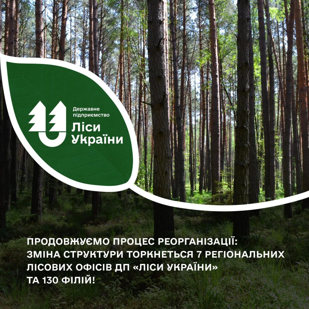 Продовжуємо процес реорганізації: зміна структури торкнеться 7 регіональних лісових офісів ДП «Ліси України» та 130 філій!