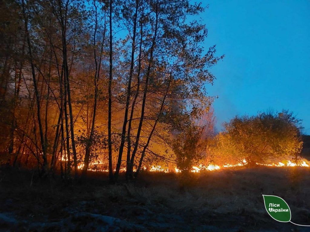 Закликаємо громадян не палити залишки рослинності на сільгоспугіддях!