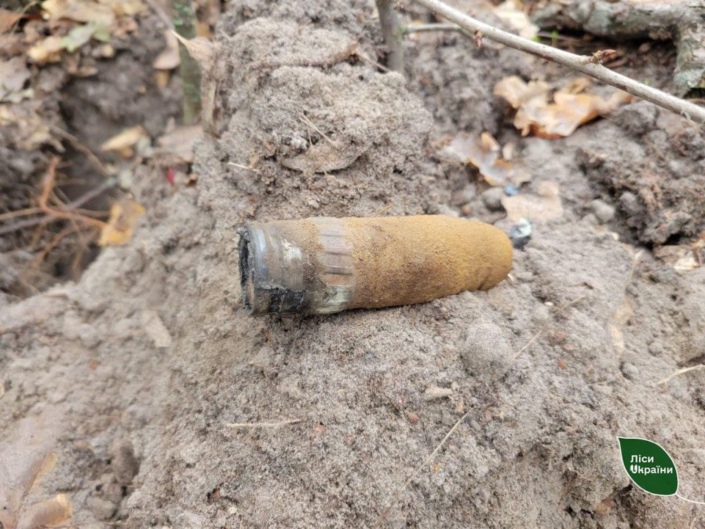 На Чернігівщині триває розмінування лісу