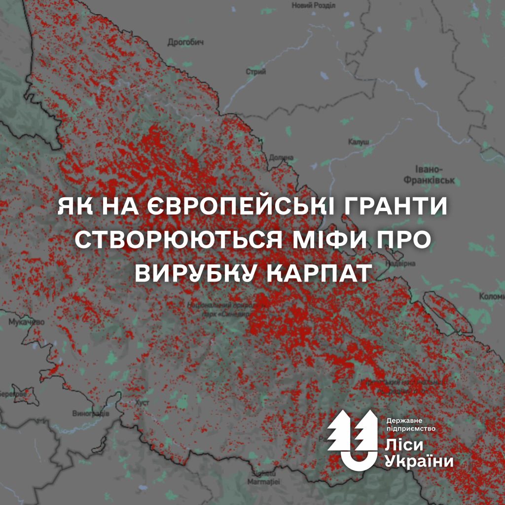 Як на європейські гранти створюються міфи про вирубку Карпат!