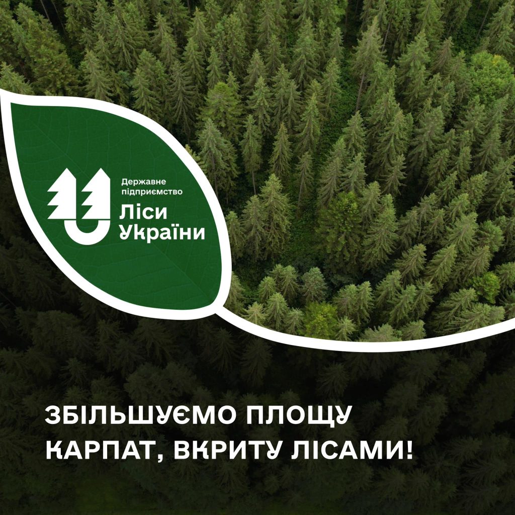 ДП «Ліси України» збільшує площу Карпат, вкриту лісами!