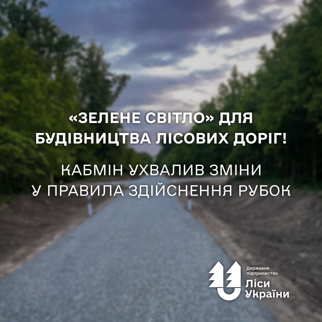 “ДП «Ліси України» очікує 2 млрд грн доходу від побудованих цього року лісових доріг”, – генеральний директор Юрій Болоховець
