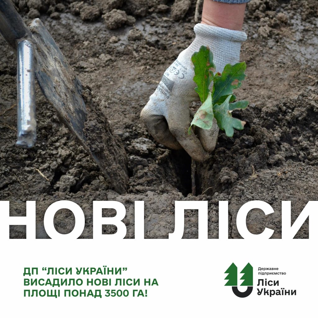 ДП “Ліси України” висадили нові ліси на площі понад 3500 га!