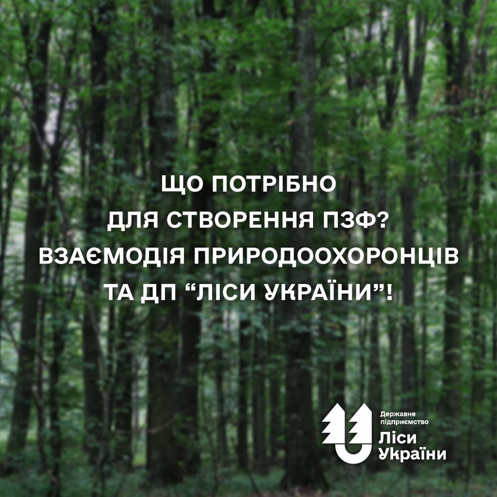 Що потрібно для створення ПЗФ? Взаємодія природоохоронців та ДП “Ліси України”!