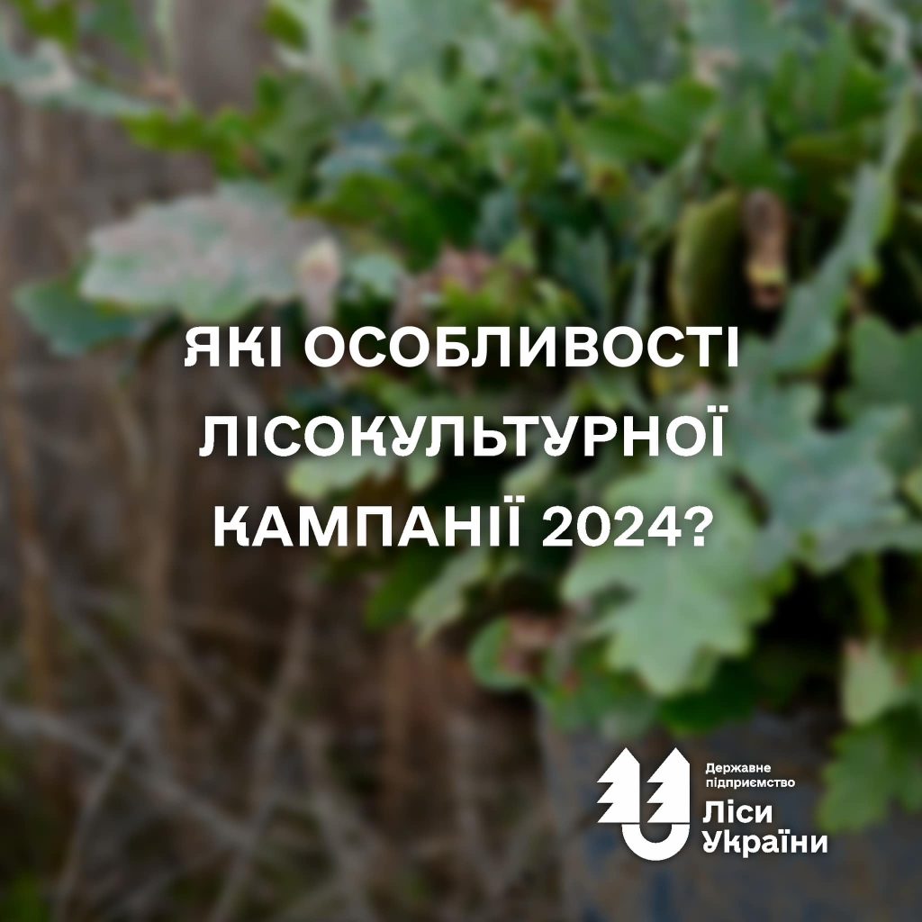 ? Лісокультурна кампанія на Півдні і Сході ще триває, але попередні результаті вже можемо підбити