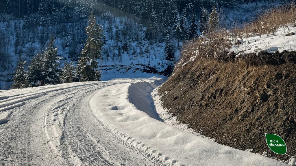 Гірські селища зв’язали з цивілізацією: в горах Буковини з’явилася нова лісова дорога!