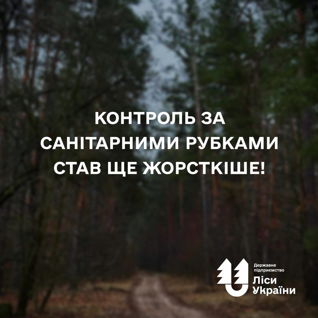 Контроль за санітарними рубками став ще жорсткіше❗️