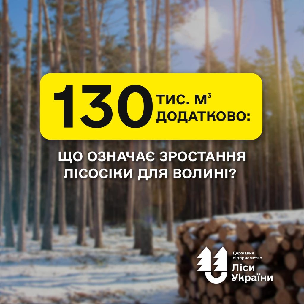 На Волині завершується базове лісовпорядкування, яке не оновлювалося з 2012 року!