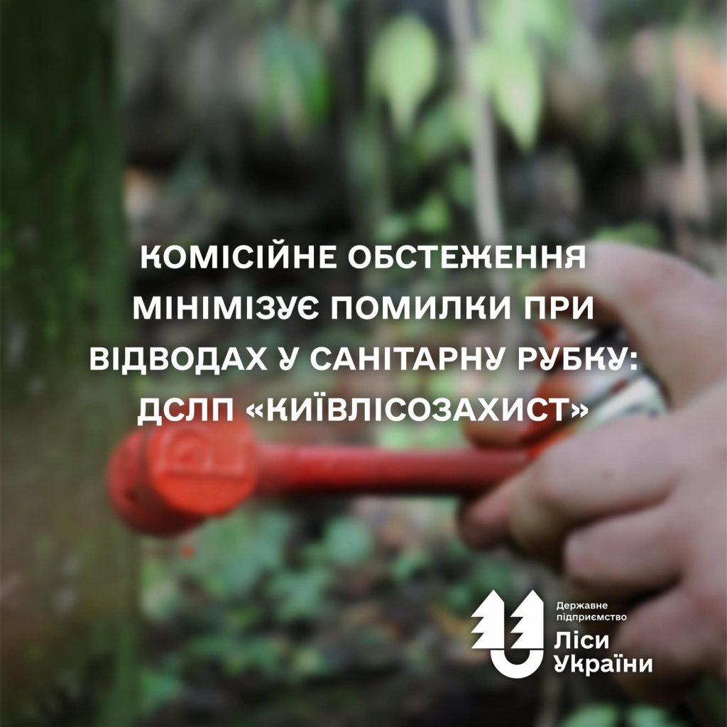 Комісійне обстеження мінімізує помилки при відводах у санітарну рубку: ДСЛП «Київлісозахист» ?