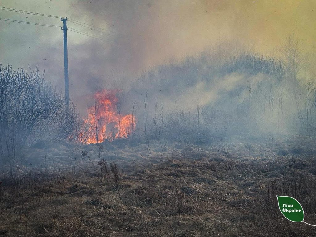 ? В Україні перші масові лісові пожежі: лісова охорона ДП «Ліси України» збільшує кількість патрулів та переходить на цілодобовий режим роботи!
