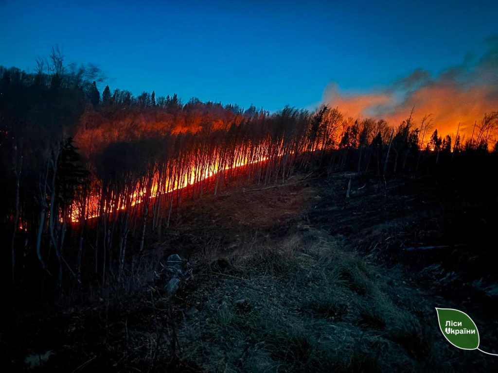 ? Працівники ДП «Ліси України» на Івано-Франківщині вже добу борються з великою пожежею у Бухтівецькому лісництві! Причина – підпал сухої трави?