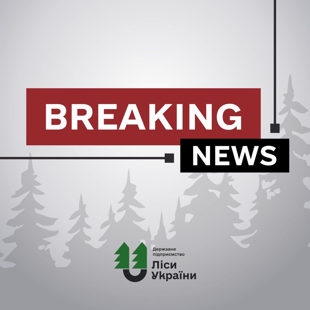 Понад рік тому безпека «Лісів України» припинила незаконні рубки у Брустурах: господарство працює без зауважень❗️