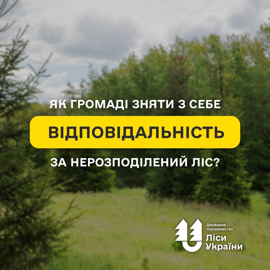 “Як громаді зняти з себе відповідальність за нерозподілений ліc?”: розповів генеральний директор Юрій Болоховець