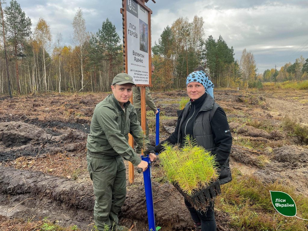 Працівники “Лісів України” висадили понад 40 лісових ділянок на честь полеглих воїнів-лісівників!