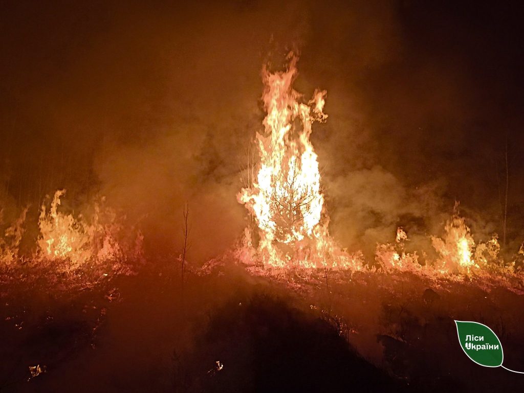 Over 30 forest fires during the holidays: the Enterprise’s forest protection service responded quickly and professionally!