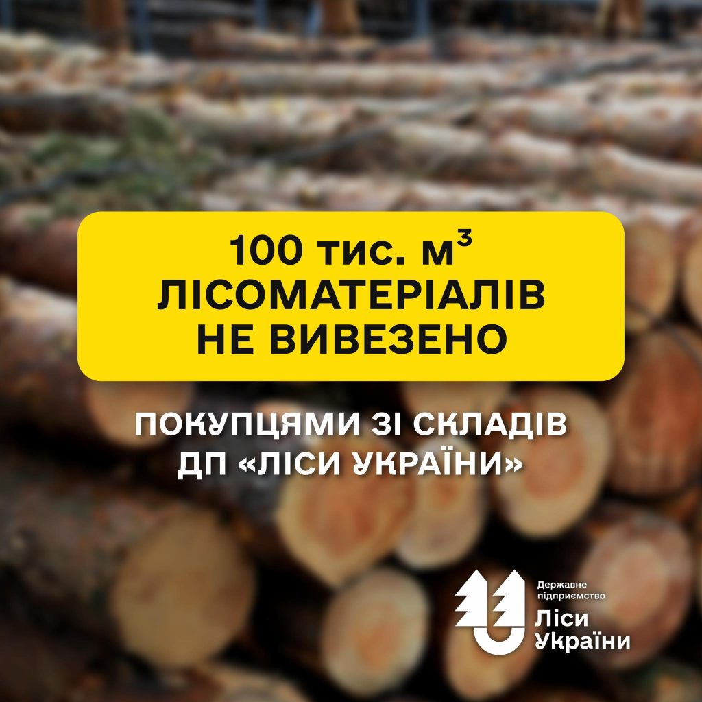 Законтрактували, але вчасно не забрали: на складах ДП «Ліси України» чекає на відвантаження 100 тис. м³ лісоматеріалів круглих.