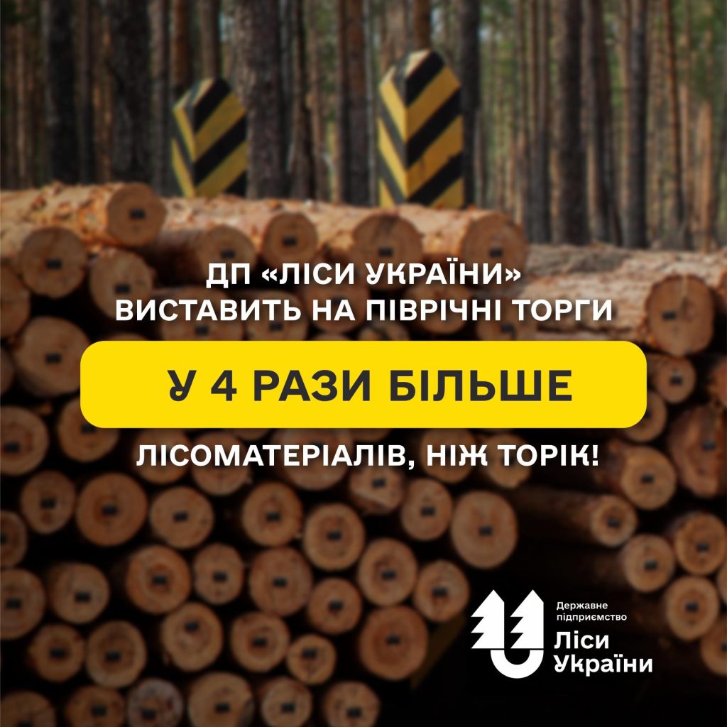 Stable prices and guaranteed supply: SFE “Forests of Ukraine” to offer four times more timber at semi-annual auctions than last year!
