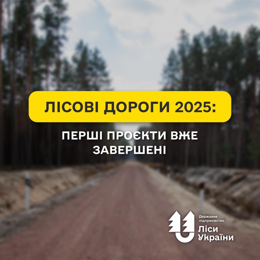 Лісові дороги 2025: перші проєкти вже завершені!