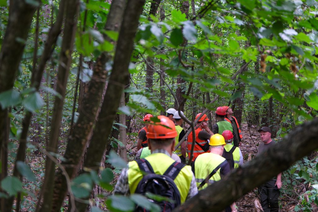 Практичні кроки до сталого лісокористування: підсумки дводенного тренінгу FSC Україна