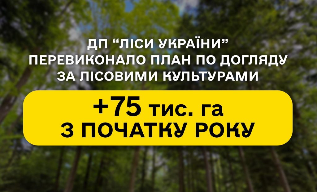 Більшість філій ДП “Ліси України” перевиконують план по догляду за лісовими культурами