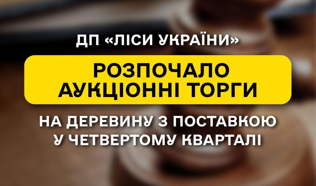 SE “Forests of Ukraine” has launched timber auctions for Q4 deliveries!