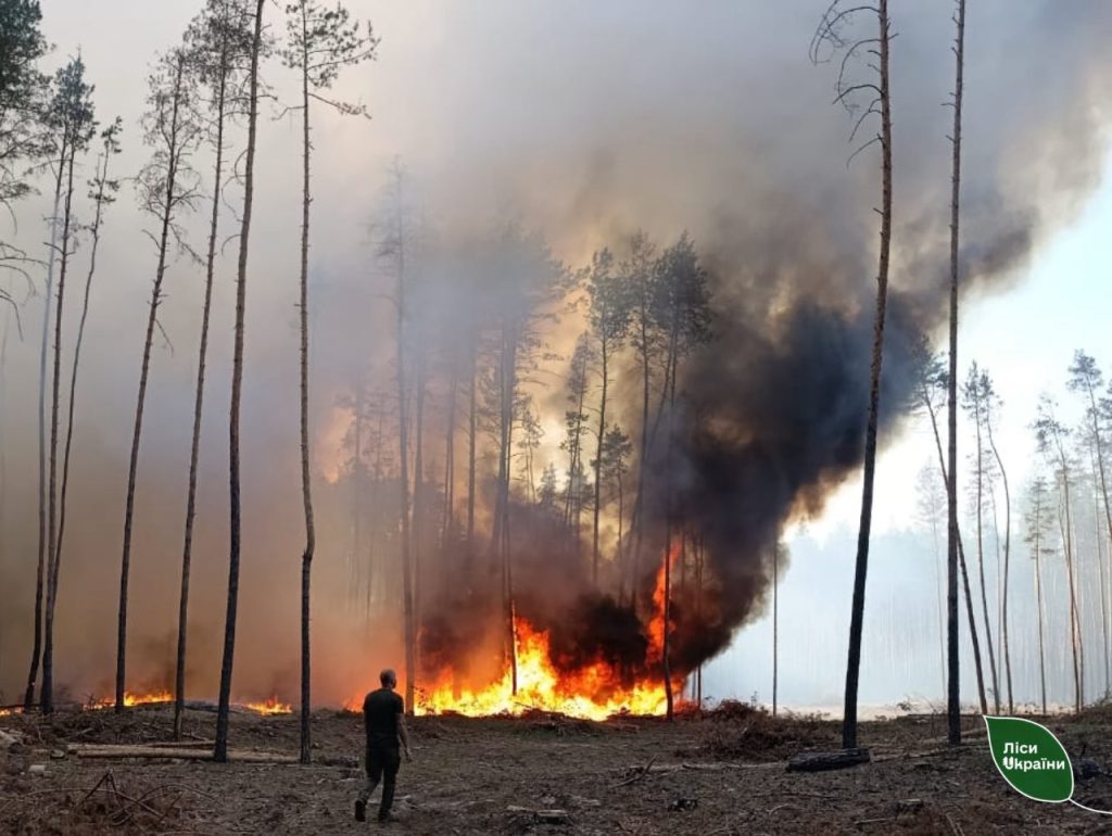 ДП “Ліси України” загасили масштабну лісову пожежу у Харківській області