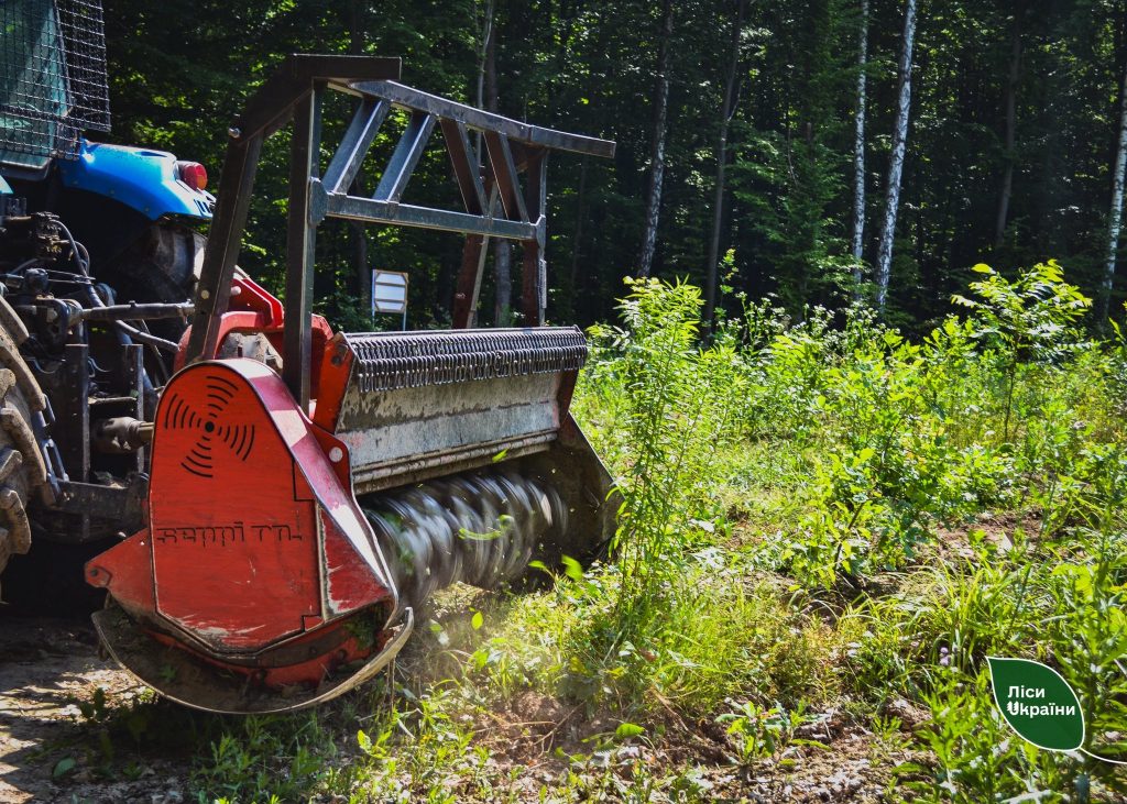 ДП «Ліси України» готується до осінньої лісокультурної кампанії