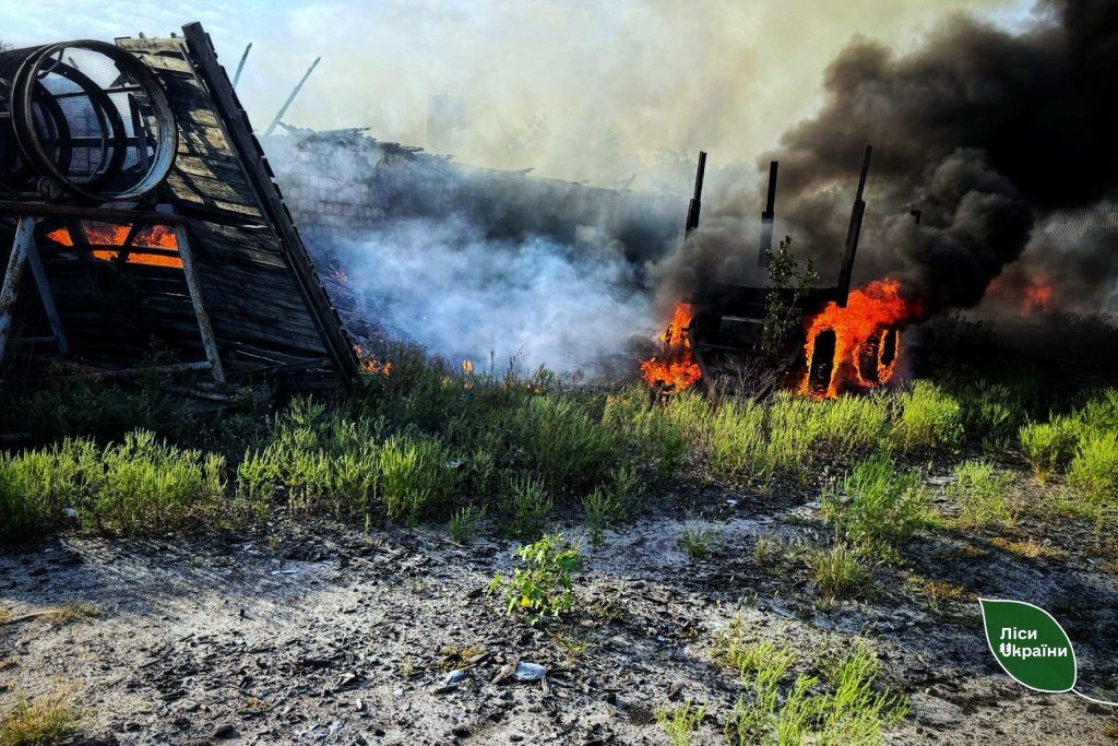 Краснолиманське лісництво колишнього Лиманського держлісгоспу на Донеччині зазнало руйнувань внаслідок ворожих обстрілів!