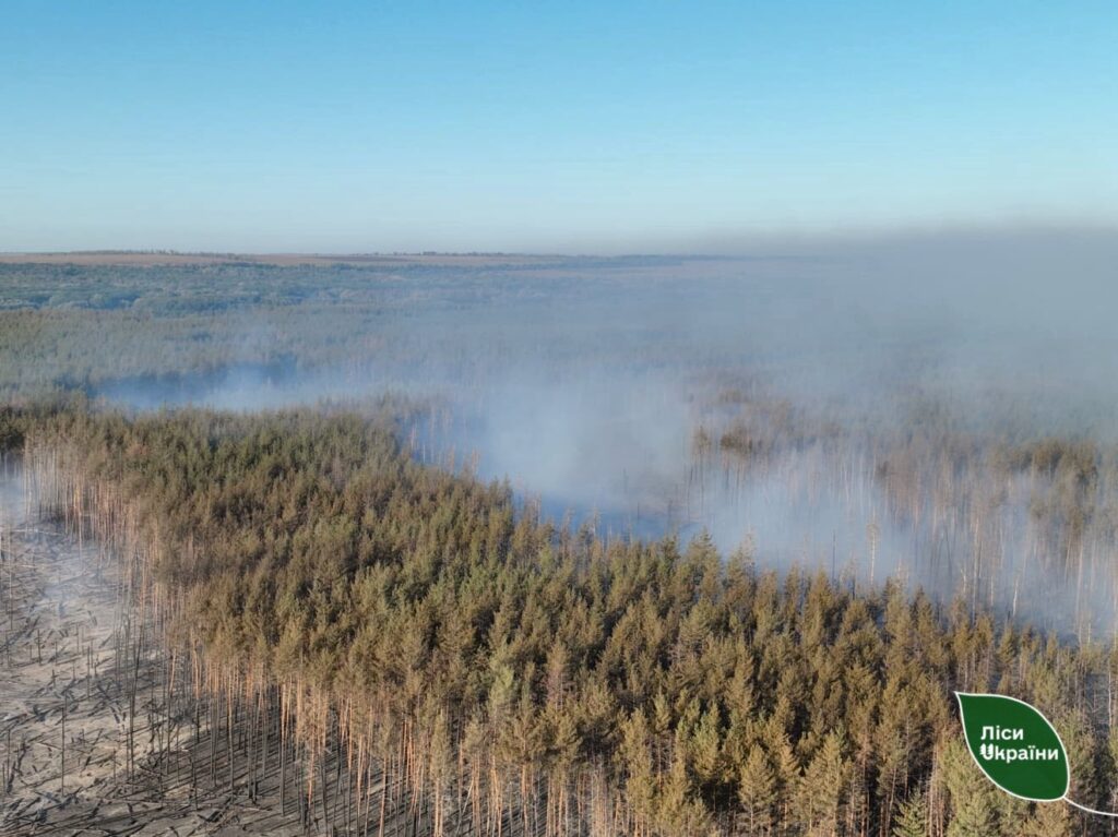 На Харківщині лісівники ДП “Ліси України” зупинили велику лісову пожежу