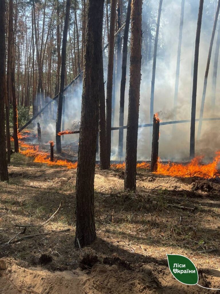 Due to Russian attacks in Kharkiv region, forest fires broke out: foresters of SFE “Forests of Ukraine” extinguished large blazes