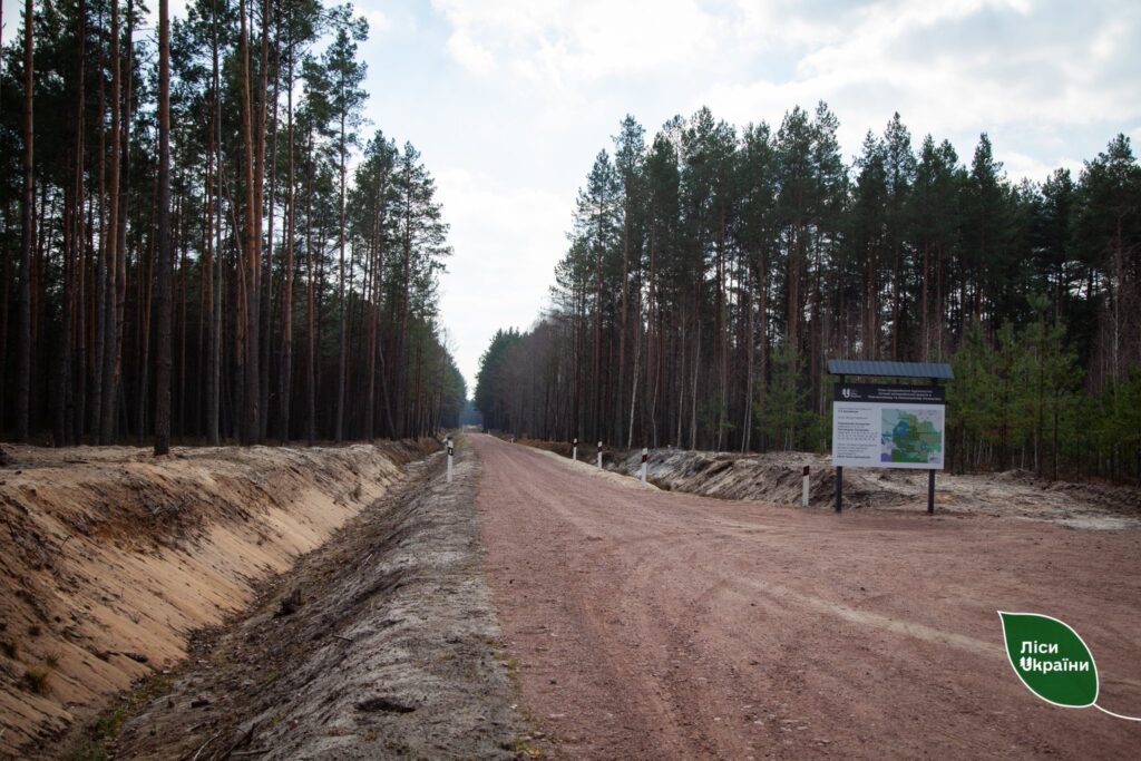 In September, the state forest enterprise “Forests of Ukraine” began the construction of eight forest roads