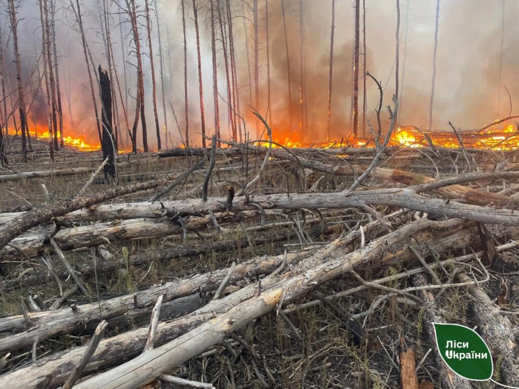 ДП «Ліси України» протягом тижня ліквідувало 20 загорянь у лісах Харківщини