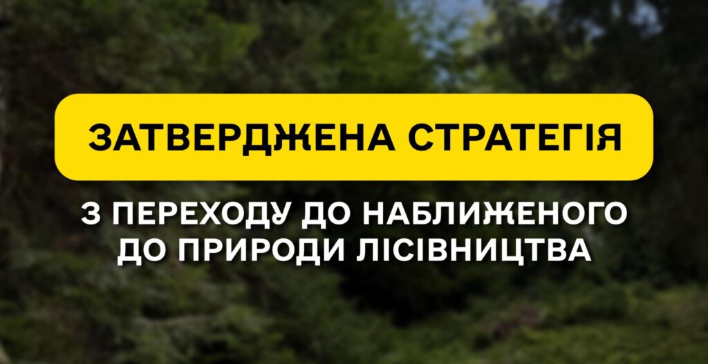 ДП “Ліси України” затвердило Стратегію з переходу до наближеного до природи лісівництва