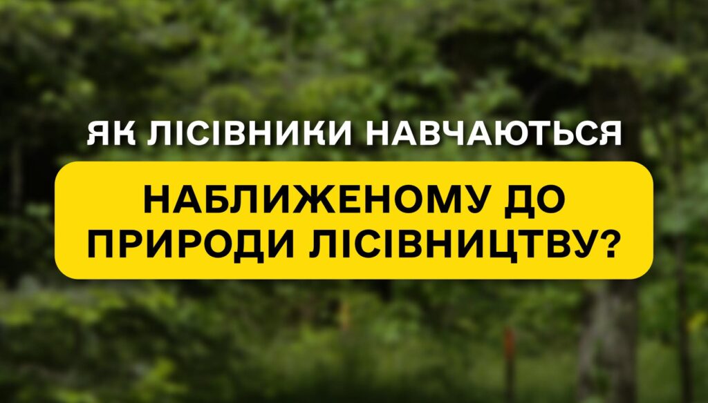 Establishing marteloscopes: how foresters learn Close-to-Nature forestry