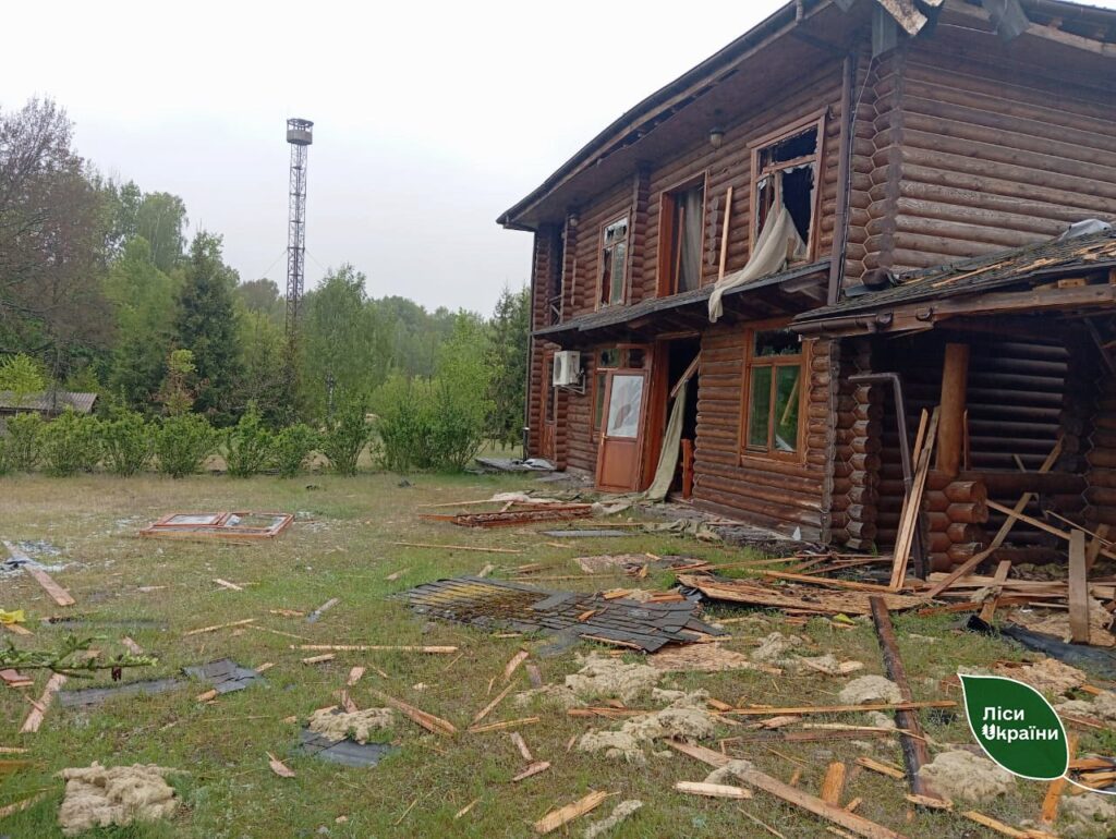 Єлинське лісництво: як лісівники Чернігівщини працюють на кордоні з рф