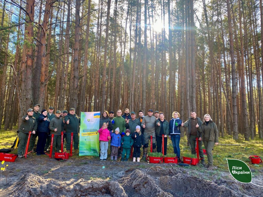 На Рівненщині розпочали відновлення лісу після масштабного бурелому