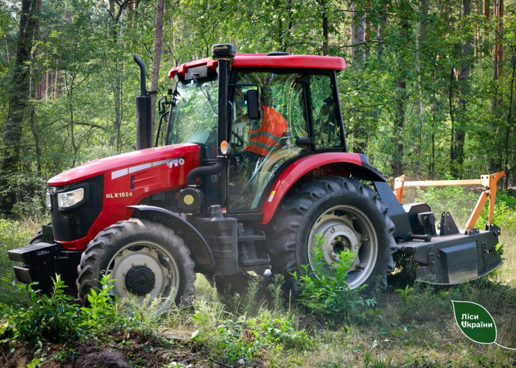 Branches of SFE “Forests of Ukraine” fulfilled the forest cultivation and natural regeneration care plan by 116% for the third quarter