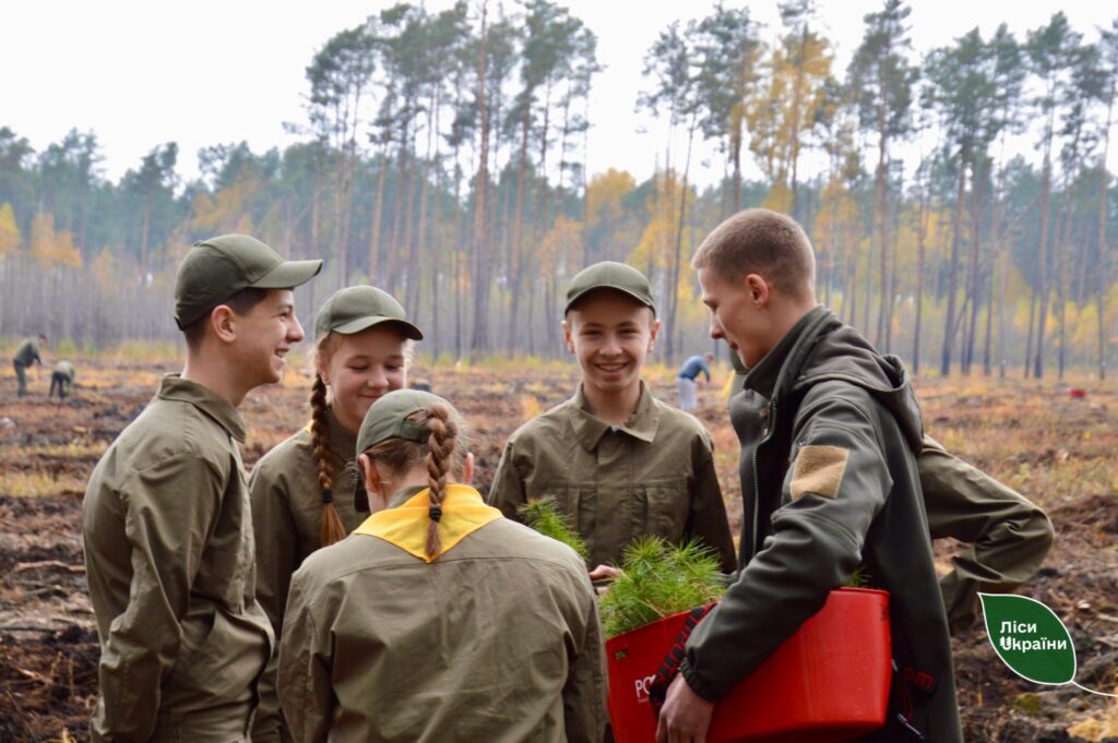 Відновлюємо ліси після пожеж