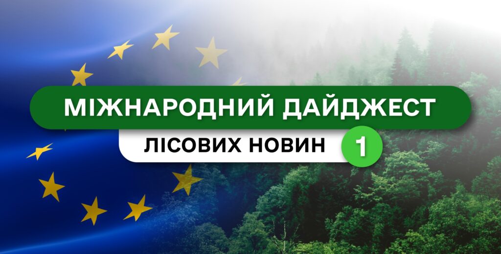 Міжнародний дайджест лісових новин: випуск 1
