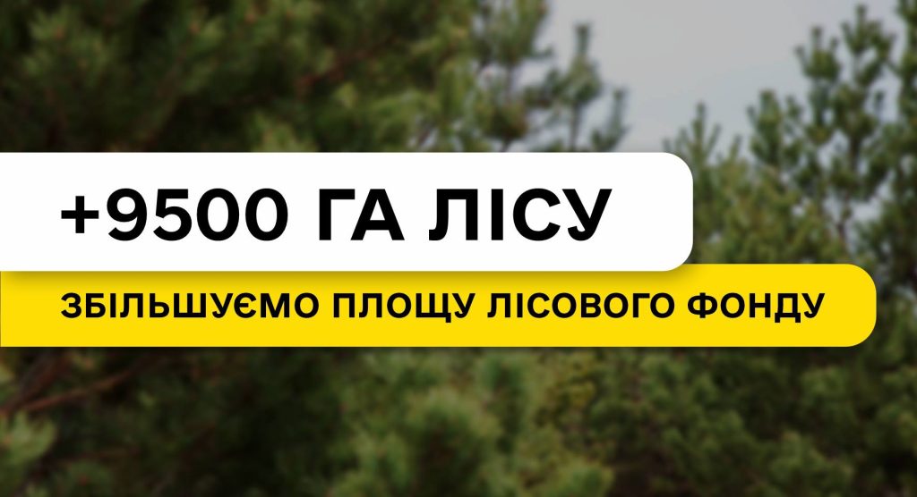 +9500 га лісу завдяки роботі ДП «Ліси України» з місцевою владою та громадами