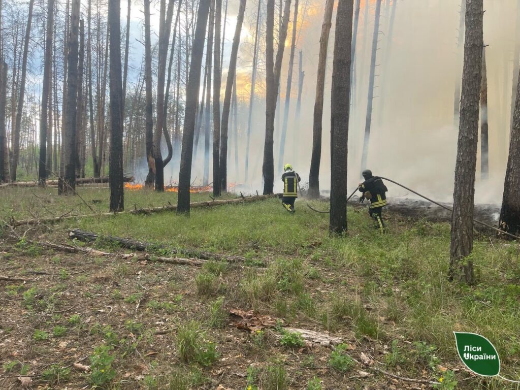 The area of forest fires in the Kharkiv region has decreased six and a half times!