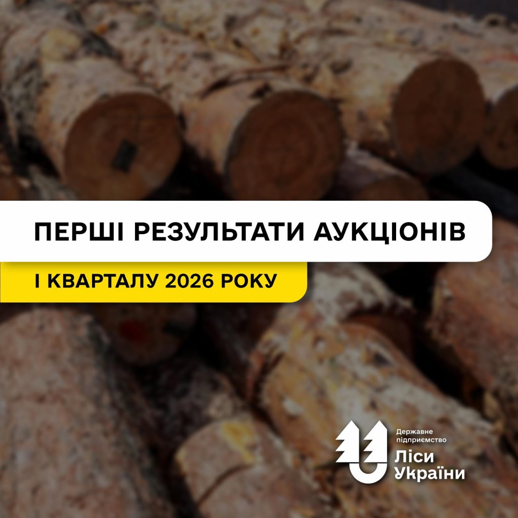 Перші результати аукціонів І кварталу 2026 року: дуб і береза дорожчають, вільха дешевшає